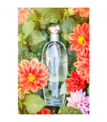 Estee Lauder Pleasures Eau de Parfum Spray 50ml