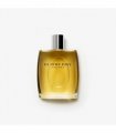 Burberry Eau De Toilette 100ml