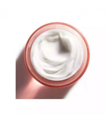Clinique Moisture Surge 72H Lipid-Replenishing Hydrator 75ml