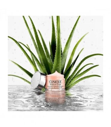Clinique Moisture Surge 72H Lipid-Replenishing Hydrator 75ml