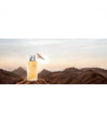 Davidoff Horizon Eau De Toilette Spray 125ml