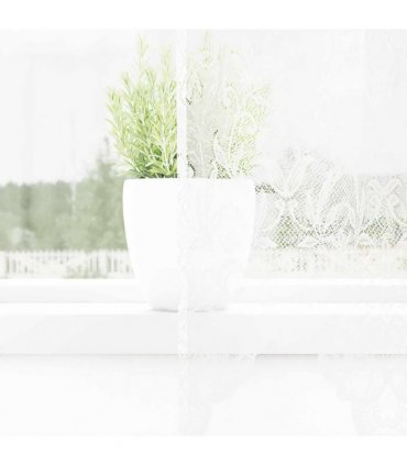 vidaXL Lace Curtain with Curtains Floral White 260 x 300 cm Polyester