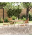 vidaXL Garden Chair 4 pcs Solid Teak Wood and Stainless Steel