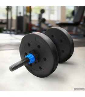 vidaXL Weight Plates 4 pcs 10 kg Black Cemment and Iron Sand Mixture