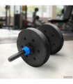 vidaXL Weight Plates 4 pcs 10 kg Black Cemment and Iron Sand Mixture