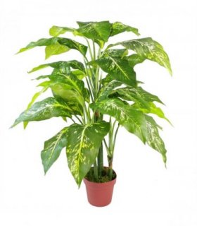 100cm Large Fox's Aglaonema (Spotted Evergreen) Tree Artificial Plant