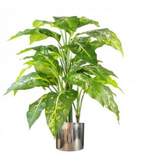 100cm Large Fox's Aglaonema Realistic Tree Artificial Plant with Silver Metal Planter