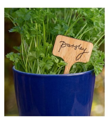 Plant Sign with a Pen Set of 50