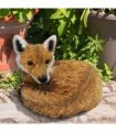 Curled Up Fox