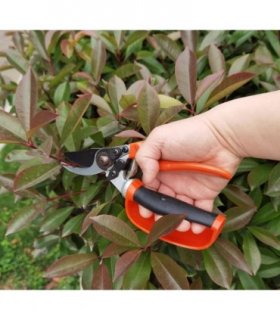 Pruner