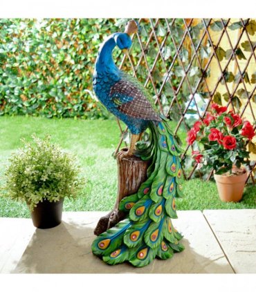 Solar Peacock