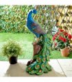 Solar Peacock