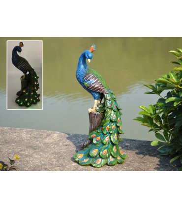 Solar Peacock