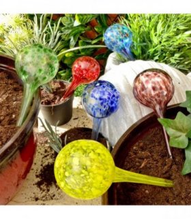 Watering Spheres (set of 6)