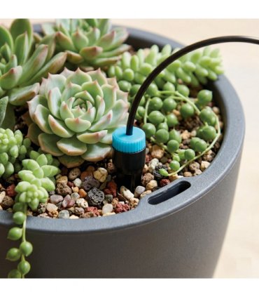 Automatic Drip System Kit (10 Heads)