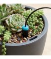 Automatic Drip System Kit (10 Heads)