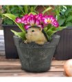 Animal Planter