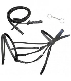 Leather Flash Bridle with Reins and Bit Black Full