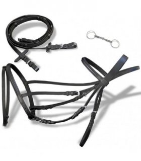 Leather Flash Bridle with Reins and Bit Black Cob