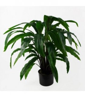60cm Artificial Calathea Plant