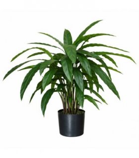 60cm Artificial Calathea Evergreen Plant