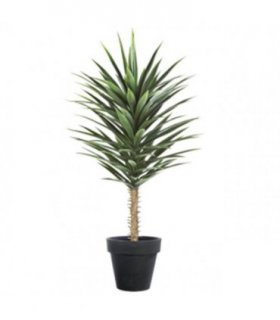 100cm Artificial YukkaTree in Pot Artificial