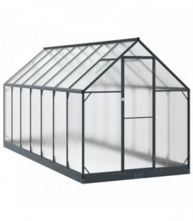 vidaXL Garden Greenhouse with Door Anthracite 183.5 x 423.5 x 207 cm