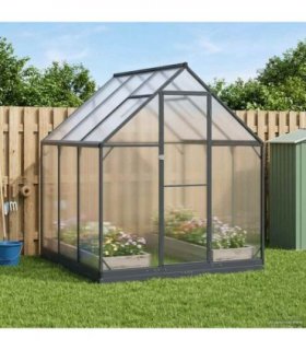 vidaXL Garden Greenhouse with Door Anthracite 183.5 x 183.5 x 207 cm