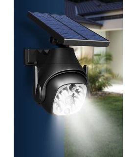 Solar Security Light