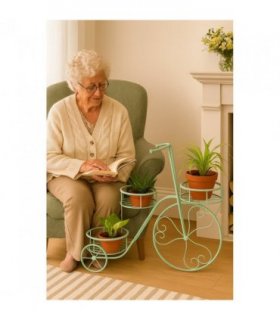Tricycle Plant Stand