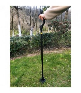 Good Posture Cane is a great replacement for conventional canes