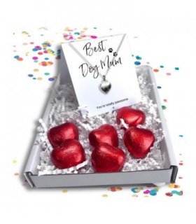 Best Dog Mum Mini Gift Hamper Silver Heart Necklace