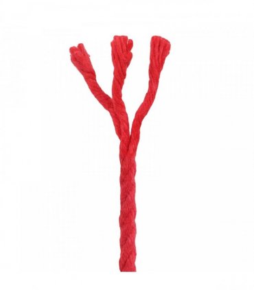vidaXL Rope 2 pcs Red Cotton