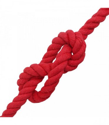 vidaXL Rope Red 1.6 x 1.6 x 10000 cm Cotton
