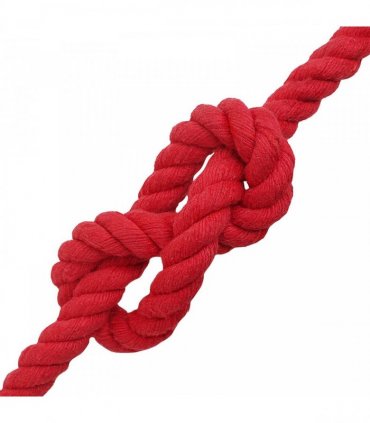 vidaXL Rope Red 2 x 2 x 5000 cm Cotton