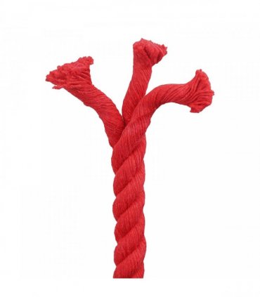 vidaXL Rope Red 2 x 2 x 5000 cm Cotton