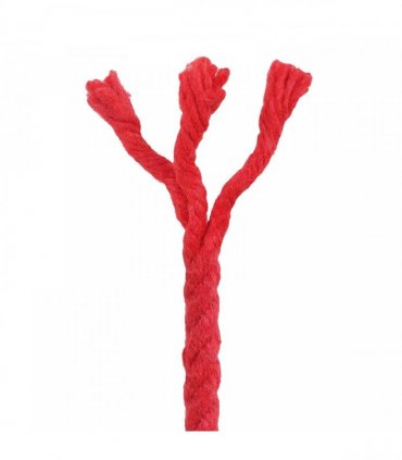 vidaXL Rope Red 0.6 x 0.6 x 10000 cm Cotton