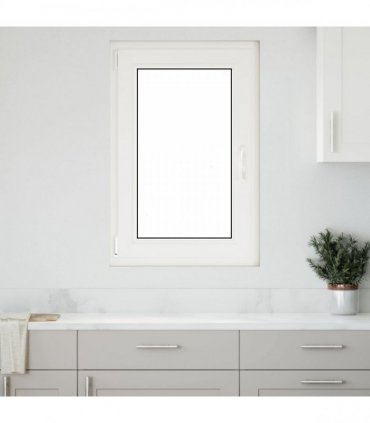 vidaXL Basement Window RISOR 60 x 100 cm PVC and Glass Anthracite