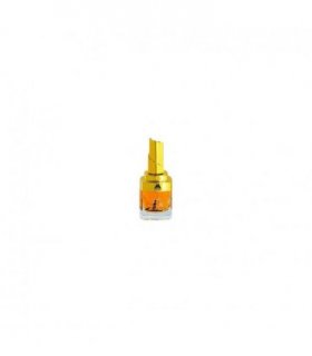 Oudh Ajeeb EDP (100ml)
