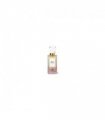 Rose Vanilla EDP (100ml)