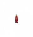 I Want You Rouge EDP (100ml)