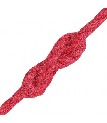 vidaXL Jute Rope 10 pcs Red 100% Tossa jute