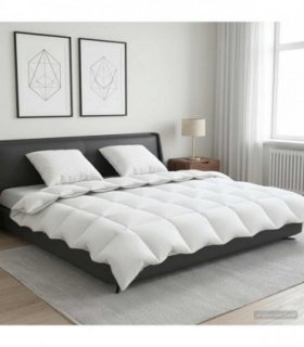 vidaXL 90% Goose Down Duvet Set FULDA 3 pcs 200 x 220 cm All Seasons