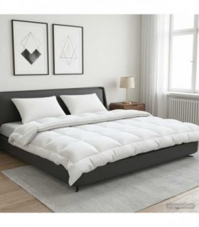 vidaXL Duvet and Pillow Set 3 pcs 200x200 cm 4 Seasons 220 GSM Wool