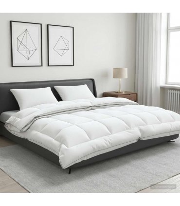 vidaXL Duvet and Pillow Set 3 pcs 200x200 cm 4 Seasons 200+300 GSM