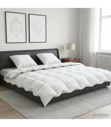 vidaXL 90% Goose Down Duvet Set FULDA 3 pcs 200 x 220 cm Winter White