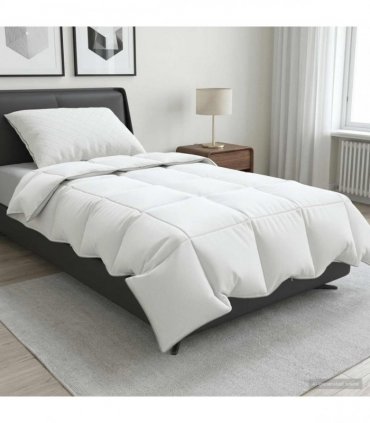 vidaXL 90% Goose Down Duvet Set FULDA 2 pcs 137 x 200 cm Summer White
