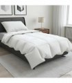 vidaXL 90% Goose Down Duvet Set FULDA 2 pcs 137 x 200 cm Summer White