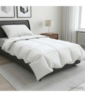 vidaXL 90% Goose Down Duvet Set FULDA 2 pcs 135 x 200 cm Summer White