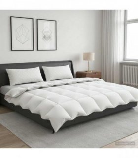 vidaXL 90% Goose Down Duvet Set FULDA 3 pcs 200 x 220 cm Winter White